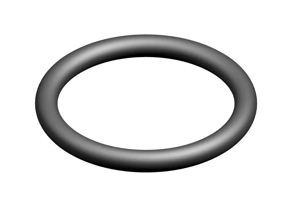 Schwarzer O-Ring mit kreisförmigem Querschnitt auf hellem Hintergrund. Produkt stammt von Bosch und ist für Dichtungsanwendungen geeignet.